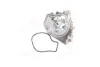 <strong>Водяний насос MAGNETI MARELLI 352316170460 (фото 4)</strong>