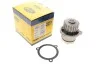 <strong>Водяний насос MAGNETI MARELLI 352316170579 (фото 1)</strong>