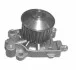 <strong>Водяний насос MAGNETI MARELLI 352316170609 (фото 1)</strong>