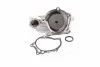 <strong>Помпа води WPQ0622 (Вир-во MagnetiMarelli) MAGNETI MARELLI 352316170622 (фото 1)</strong>