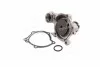 <strong>Помпа води WPQ0622 (Вир-во MagnetiMarelli) MAGNETI MARELLI 352316170622 (фото 2)</strong>