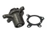 <strong>Водяний насос MAGNETI MARELLI 352316170683 (фото 2)</strong>