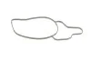 <strong>Водяний насос MAGNETI MARELLI 352316170690 (фото 7)</strong>