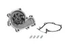 <strong>Насос охолоджуючої рідини FORD RANGER MAZDA B-SERIE, BT-50, MPV I 2.5D 05.96-12.15 MAGNETI MARELLI 352316170739 (фото 1)</strong>