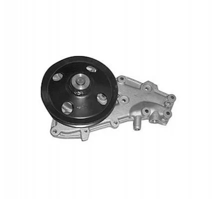 <strong>Помпа воды RENAULT 9,11,19,21,CLIO,RAPID,SUPER 5 [] MAGNETI MARELLI 352316170956 (фото 1)</strong>