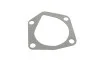 <strong>Водяний насос MAGNETI MARELLI 352316171027 (фото 12)</strong>