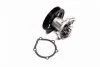 <strong>Помпа води WPQ1061 (Вир-во MagnetiMarelli) MAGNETI MARELLI 352316171061 (фото 4)</strong>