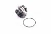 <strong>Водяний насос (вир-во Magneti Marelli кор.код. WPQ1193) MAGNETI MARELLI 352316171193 (фото 1)</strong>