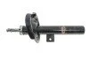 <strong>Амортизатор MAGNETI MARELLI 352516070100 (фото 1)</strong>