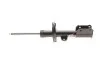<strong>Амортизатор MAGNETI MARELLI 355002070100 (фото 1)</strong>