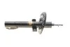 <strong>Амортизатор передн Лів/Прав RENAULT GRAND SCENIC II, SCENIC II 1.4-2.0D 06.03-12.09 MAGNETI MARELLI 356226070000 (фото 7)</strong>