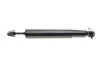 <strong>Амортизатор MAGNETI MARELLI 356901070000 (фото 2)</strong>