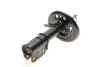 <strong>Амортизатор передній MAGNETI MARELLI 357255070000 (фото 1)</strong>