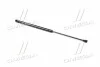<strong>Амортизатор багажника VOLKSWAGEN Bora (вир-во Magneti Marelli кор.код. GS0131) MAGNETI MARELLI 430719013100 (фото 3)</strong>