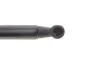 <strong>Амортизатор кришки багажника MAGNETI MARELLI 430719015200 (фото 5)</strong>