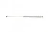<strong>Амортизатор капота AUDI (вир-во Magneti Marelli кор.код. GS0265) MAGNETI MARELLI 430719026500 (фото 1)</strong>