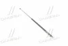 <strong>Амортизатор багажника AUDI 100 (вир-во Magneti Marelli кор.код. GS0380) MAGNETI MARELLI 430719038000 (фото 1)</strong>