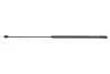 <strong>Газова пружина, капот MAGNETI MARELLI 430719038100 (фото 1)</strong>