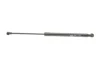 <strong>Амортизатор багажника MAGNETI MARELLI 430719068000 (фото 1)</strong>
