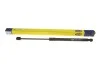 <strong>Амортизатор багажника MAGNETI MARELLI 430719071200 (фото 5)</strong>