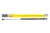 <strong>Газова пружина, заднє скло MAGNETI MARELLI 430719072300 (фото 1)</strong>