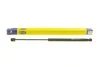 <strong>Газова пружина, кришка багажника MAGNETI MARELLI 430719073200 (фото 1)</strong>