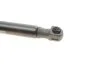 <strong>Газова пружина, кришка багажника MAGNETI MARELLI 430719074600 (фото 3)</strong>