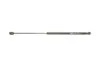 <strong>Газова пружина, кришка багажника MAGNETI MARELLI 430719074600 (фото 5)</strong>