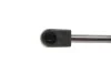 <strong>Газова пружина MAGNETI MARELLI 430719081500 (фото 3)</strong>