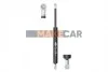 <strong>Газова пружина, кришка багажника MAGNETI MARELLI 430719081700 (фото 1)</strong>