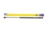 <strong>Амортизатор багажника MAGNETI MARELLI 430719089100 (фото 1)</strong>