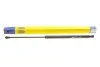 <strong>Амортизатор багажника NISSAN QASHQAI (J10E) (вир-во Magneti Marelli кор.код. GS0956) MAGNETI MARELLI 430719095600 (фото 1)</strong>