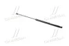 <strong>Амортизатор кришки багажника MAGNETI MARELLI 430719099700 (фото 3)</strong>