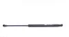 <strong>Амортизатор MAGNETI MARELLI 430719106600 (фото 4)</strong>