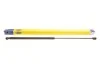 <strong>Газова пружина капота Лів/Прав TOYOTA CAMRY SEDAN 09.11-03.18 MAGNETI MARELLI 430719159400 (фото 1)</strong>