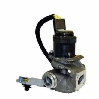 Клапан EGR для Ford, Volvo MAGNETI MARELLI 571822112030 фото товару