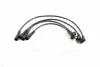 <strong>Комплект високовольтних проводів EQ HYUNDAI ACCENT 1.3I, 1.5I 95- ATOS PRIME 01- [] MAGNETI MARELLI 941319170059 (фото 1)</strong>