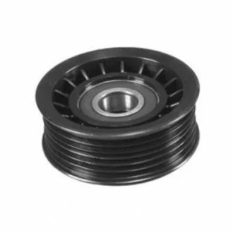 Ролик модуля натягувача ременя для Ford MAGNETI MARELLI MPQ0098 фото товару