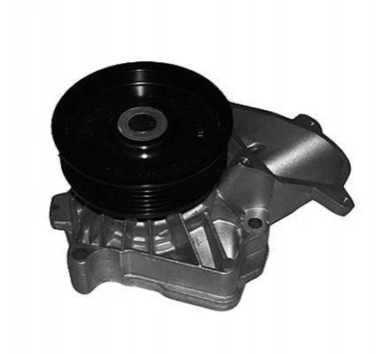 <strong>BMW Помпа воды 1 Е81/Е87, 3 Е46/Е90, 5 Е60, Х5 MAGNETI MARELLI WPQ0053 (фото 1)</strong>