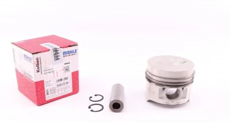 Поршень Mahle для Renault, Dacia MAHLE 021 66 02 фото товару