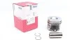 Поршень Mahle для Nissan, Dacia, Renault, Mercedes MAHLE 0222100 фото товару