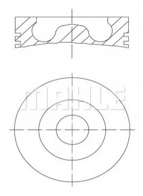 <strong>Поршень Mahle MAHLE 0280202 (фото 1)</strong>