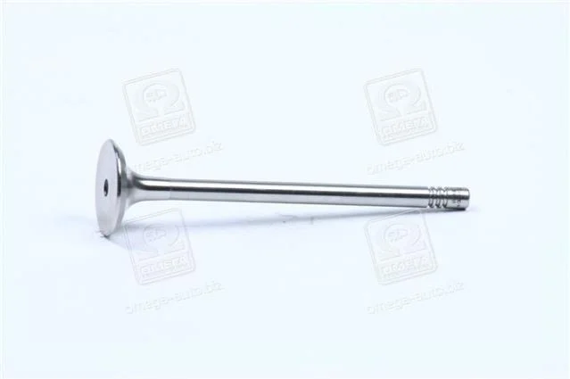 <strong>Клапан випуск. Caddy III 1.4 i 04- MAHLE 029 VA 30529 100 (фото 1)</strong>