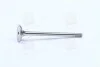 <strong>Клапан випуск. Caddy III 1.4 i 04- MAHLE 029 VA 30529 100 (фото 1)</strong>