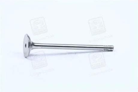 Клапан випуск. Caddy III 1.4 i 04- для Volkswagen, Seat, Audi, Skoda MAHLE 029 VA 30529 100 фото товару
