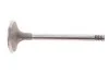 <strong>Клапан двигуна MAHLE 029 VE 30900 000 (фото 1)</strong>