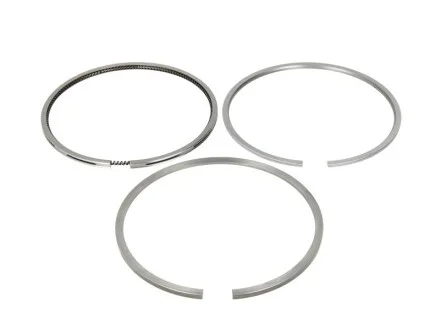 Кільця поршневі(1cyl) RVI 102.0(3,5/2,5/4) Dci 6 Euro3 для MAHLE 209 72 N0 фото товару