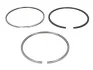 <strong>Кольца поршневые (1cyl) MAN D2840/D2866/D2876 EURO III D 128.00 (4/3/4) MAHLE 227 01 N0 (фото 1)</strong>