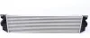 <strong>Радіатор інтеркулера Master/Movano II 1.9/2.2/2.5 dCi 02- MAHLE CI 19 000S (фото 4)</strong>