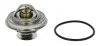 <strong>Термостат, охолоджуюча рідина MAHLE TX 38 80D (фото 1)</strong>
